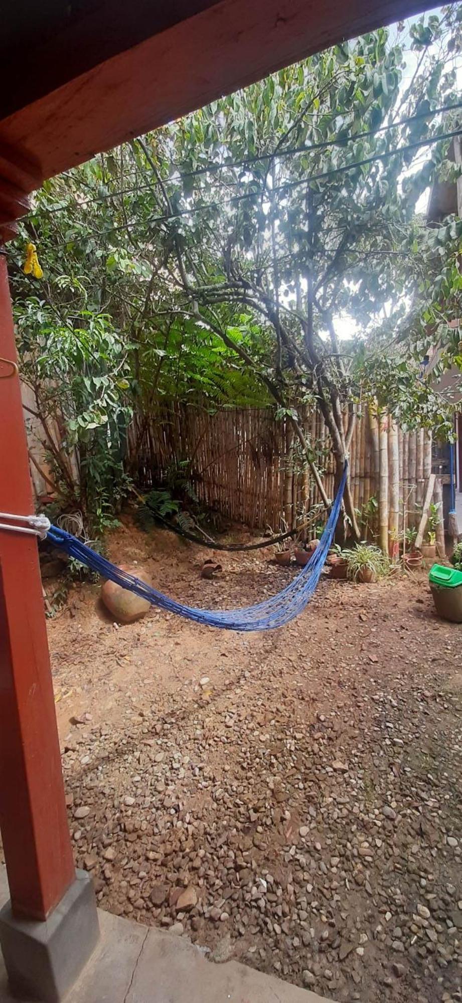 Aventura Chachapoyas Backpackers Vandrarhem Exteriör bild