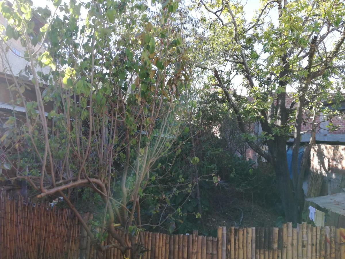 Aventura Chachapoyas Backpackers Vandrarhem Exteriör bild